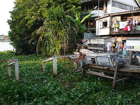 Сама Манила, пугают почти все, - сплошная грязь, нищета и преступность.