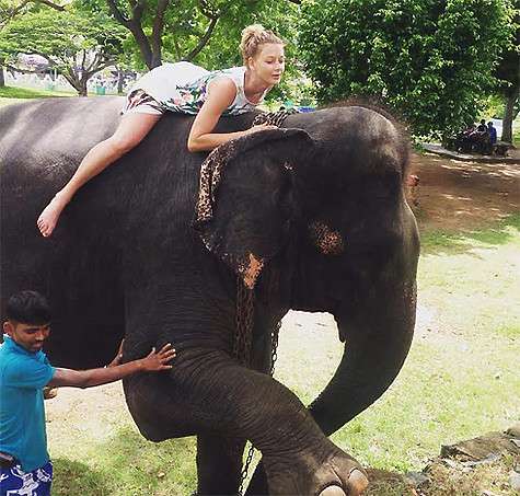 Самые яркие впечатления у Любавы Грешновой остались после прогулки верхом на слоне... Фото: материалы пресс-служб.