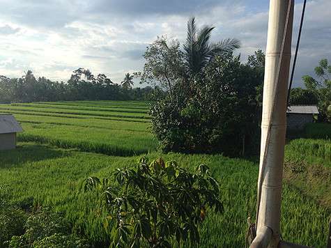 Некоторые кафе находятся прямо посреди рисовых полей. Выглядит умиротворяюще.