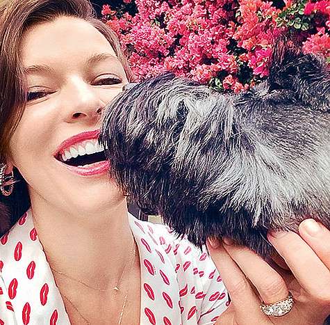 Подписчики Миллы Йовович первыми узнали о беременности звезды. Фото: Instagram.com.