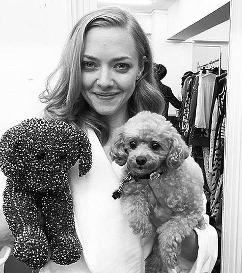 Аманда Сейфред. Фото: Instagram.com/mingey.