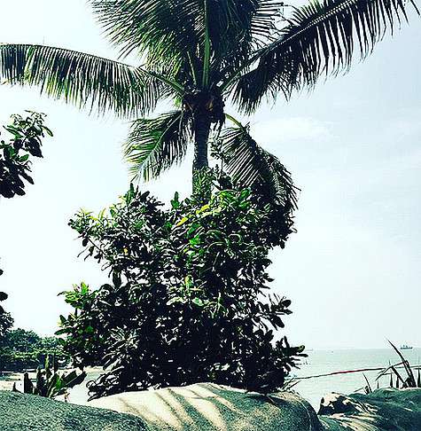 Ксения Новикова уехала в свадебное путешествие. Фото: Instagram.com/novikovaofficial. Ксения Новикова уехала в свадебное путешествие. Фото: Instagram.com/novikovaofficial.