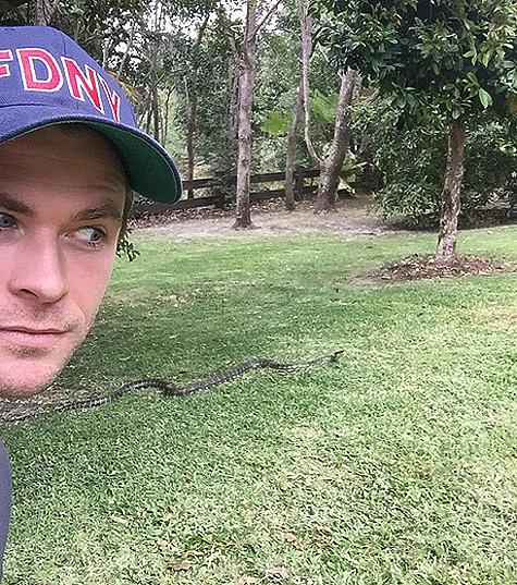 Крис Хемсворт показал змею, которая заползла в сад их дома. Фото: Instagram.com/chrishemsworth.