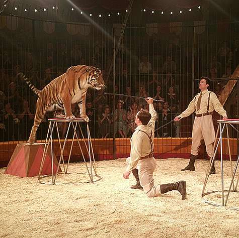 Askoldzap: «В клетке с новым партнёром кино-брато-заменителем Андреем Чернышовым». Фото: Instagram.com/Askoldzap. Askoldzap: «В клетке с новым партнёром кино-брато-заменителем Андреем Чернышовым». Фото: Instagram.com/Askoldzap.