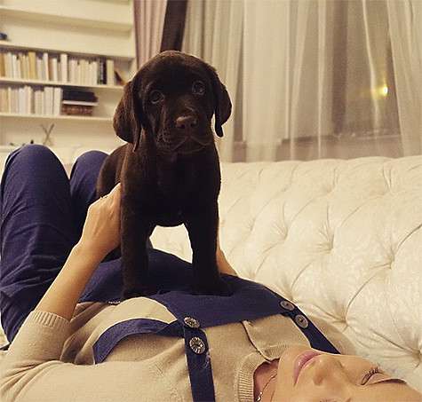 Теперь у Елены Темниковой есть собака, о которой она всегда мечтала. Фото: Instagram.com/lenatemnikovaofficial.