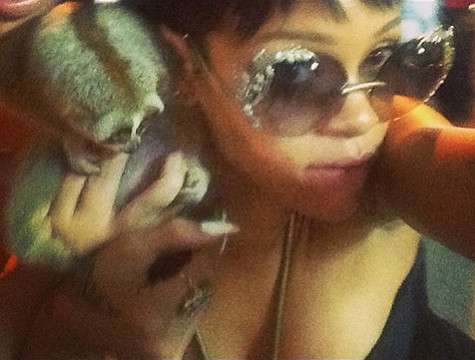 Благодаря этому фото Рианны были пойманы торговцы приматами Лори. Фото: Instagram.com.