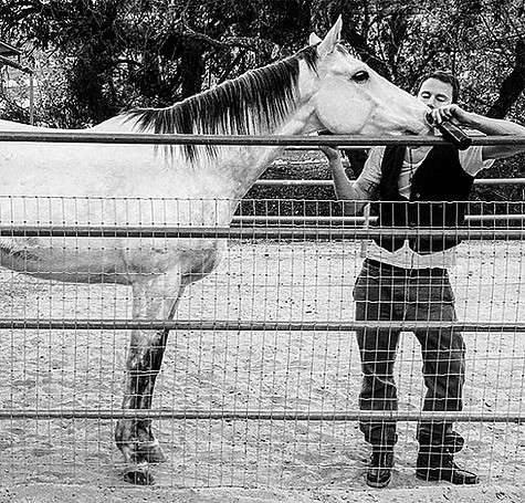Ченнинг Татум приютил коня, которого назвал Смоук. Фото: Instagram.com/channingtatum.