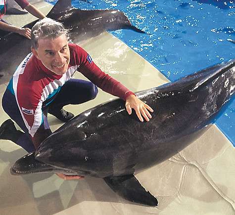 Кадр шоу «Вместе с дельфинами».