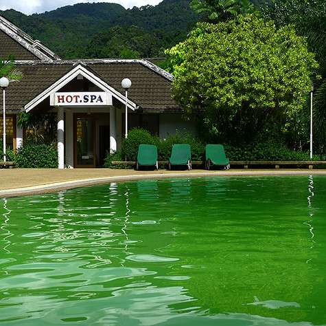 На территории отеля, где мы поселились, - свой СПА с горячими радоновыми источниками. Иностранцы это чудесное место пока еще не освоили.