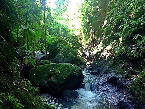 Сами балийцы купаются только в водопадах, не приближаясь к океану.