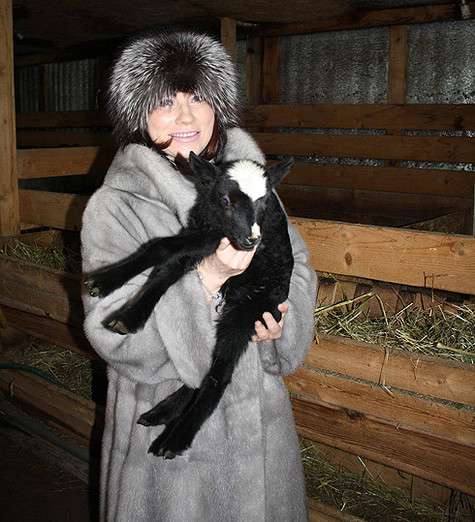 Новорожденной телочке дадут имя Роза, в честь дня рождения ее нареченной мамы. А сама Роза Раифовна получит по этому случаю специальный паспорт-удостоверение. Фото: личный архив Розы Сябитовой.