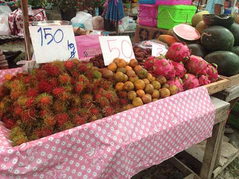 Поначалу непонятно, как есть это нечто волосатое...