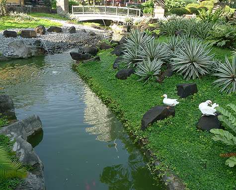 Иногда даже не верится, что ты находишься в центре громадного мегаполиса.