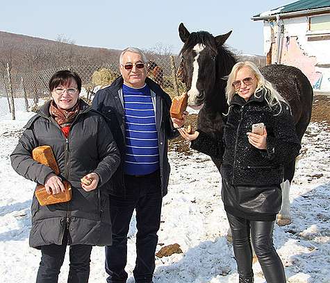 Жеребца Наталии Гулькиной подарили владельцы Новоникольского конного завода Тамара Хабирянова и ее муж Василий Толочок. Фото: материалы пресс-служб.