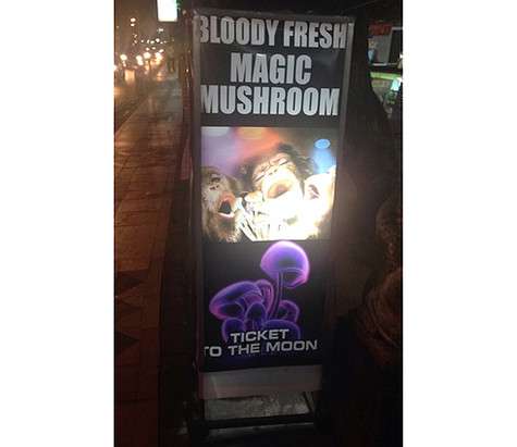 В туристических районах всем предлагают «билет на Луну» - при помощи «волшебных грибов».