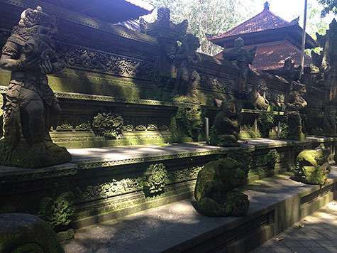 Monkey Forest, или Обезьяний лес – одна из достопримечательностей Убуда…