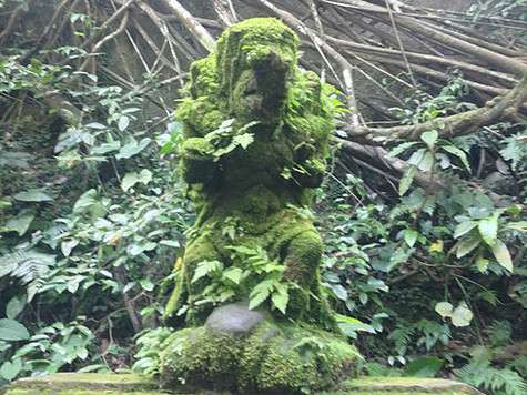 Эта таинственное существо, по мнению местного старичка, который наблюдает за его покоем, тоже ночами оживает.