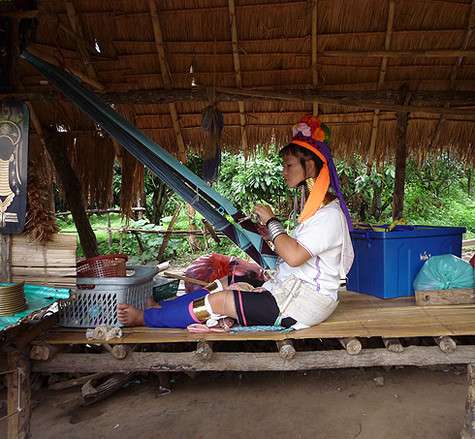 Посмотреть на их быт довольно любопытно.