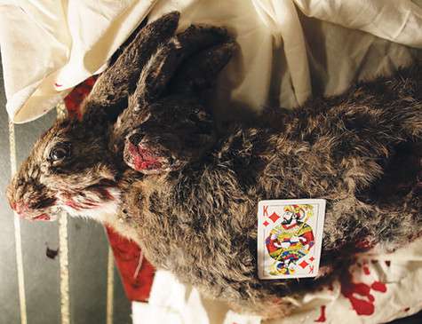 Иногда на съемках необходим такой необычный реквизит, что его приходится изготавливать специально. Для одной из серий был сделан заяц с двумя головами: два чучела сшили в одно. Фото: материалы пресс-служб.