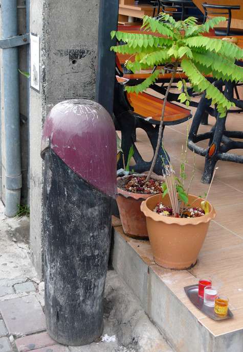 Клики в форме детородного органа следует подкармливать каждый день.