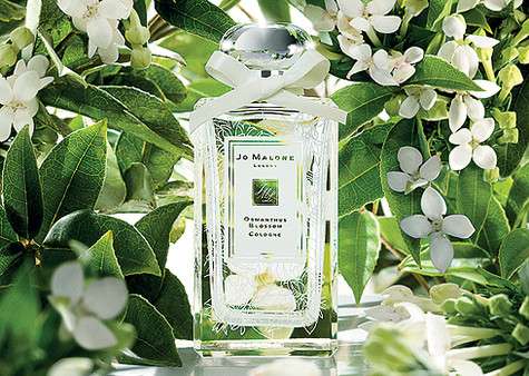 Osmanthus Blossom от Jo Malone. Фото: материалы пресс-служб.