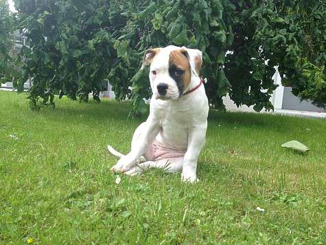 Кукла навсегда останется в душе ее хозяйки. Фото: социальные сети