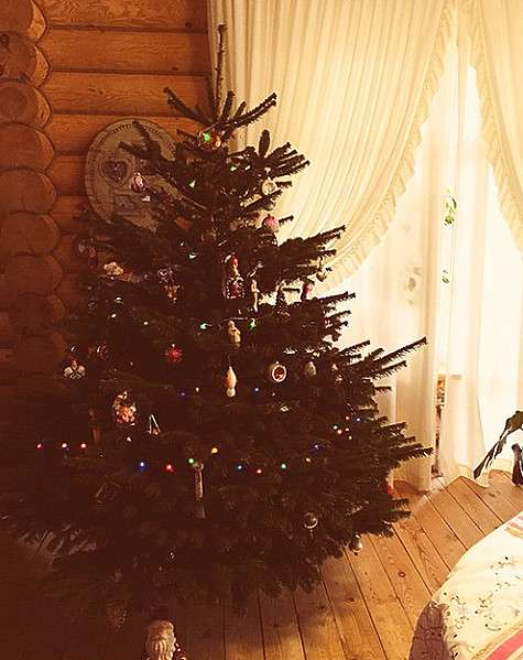 Новогодняя елочка родителей Алены Водонаевой. Фото: Instagram.com.