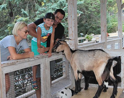 Стас Костюшкин с женой и сыном в контактом зоопарке.