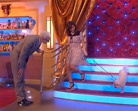 На шоу Пола ОГрейди Натали Имбрулья пришла со своей болонкой по кличке Мистер Уилсон. Фото: www.youtube.com.