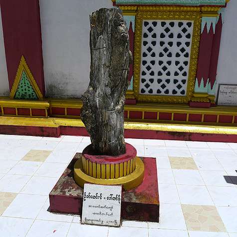 А вот чем ценен этот кусок дерева, мы так и не узнали. А вот чем ценен этот кусок дерева, мы так и не узнали.