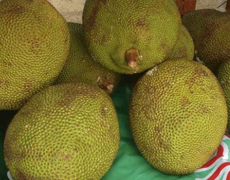 ...И пупырчатое.