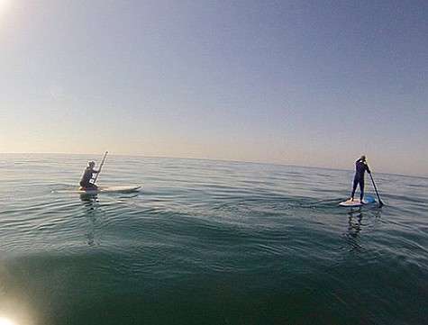 В Америке Марика увлеклась катанием на доске с веслом. Marikakravtsova: «Рано подняться стоит хотя бы ради того, чтобы с поверхности океана посмотреть на горизонт... и убедиться, что Земля по-прежнему круглая! И, пока солнце не обжигает, а на море полный 