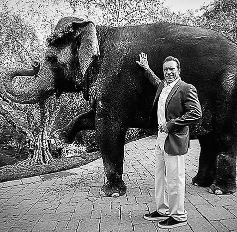 Арнольд Шварценеггер регулярно радует поклонников оригинальными снимками. Фото: Instagram.com.