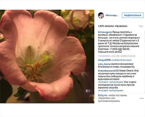 Екатерина Климова разместила объявление о сдачи квартиры. Фото: Instagram.com/klimovagram.