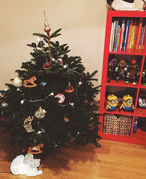 У Алены Водонаевой будет две новогодних елки. Фото: Instagram.com.