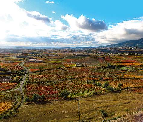 Энотуризм здесь очень популярен. Всего за один-два дня можно объездить знаменитые местные винодельни – бодеги. Фото: Екатерина Пряник.