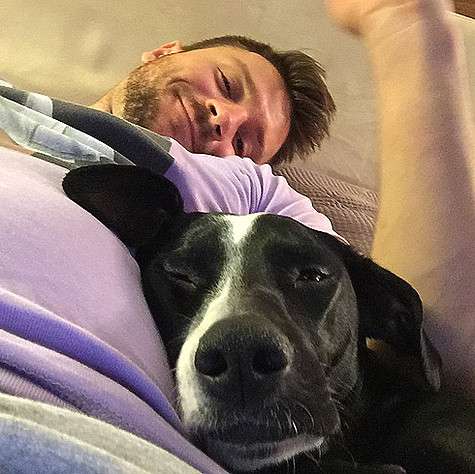 Идею готовить десерты для домашних любимцев Сергею Лазареву подал собственный пес. Фото: Instagram.com.