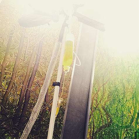 Елена Ваенга заболела. Дело даже дошло до капельницы. Фото: Instagram.com/Vaengaofficial.