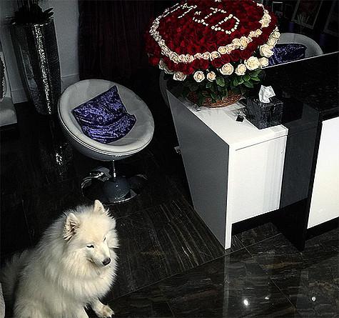До вчерашнего дня у Дубцовой жила только собака. Фото: Instagram.com/dubtsova_official.