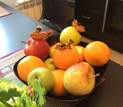 Анна решила украсить фрукты бумажными птичками. Фото: личный архив.