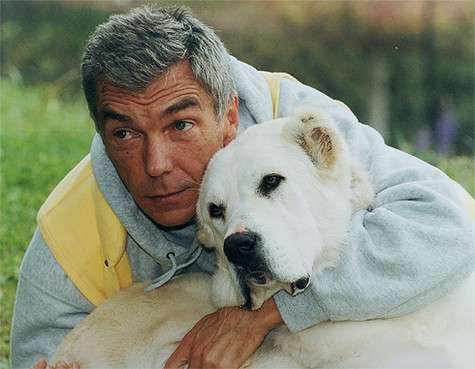 Я не понимаю, когда вижу алабая в Москве. Это мощная собака, которой необходимо двигаться. Фото: личный архив.