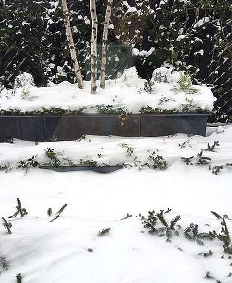 Бетт Мидлер запечатлела последствия снегопада. Фото: Twitter.com.