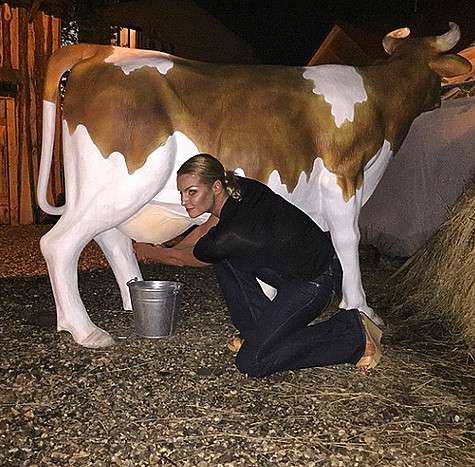 Фотографию с коровой Анастасия Волочкова подписала кратко: «Масте-класс». Фото: Instagram.com/volochkova_art.