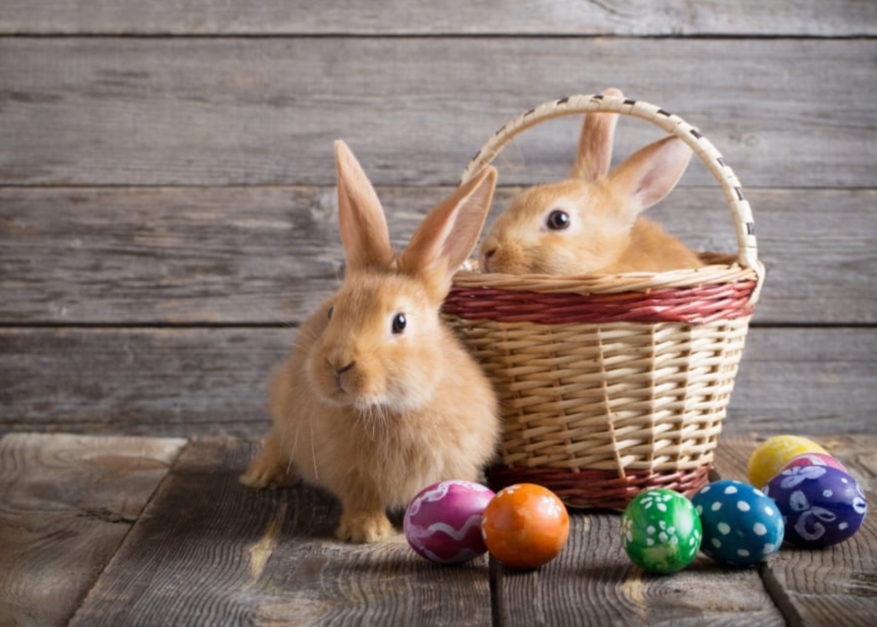 Заяц и красные яйца: любопытные факты о Пасхе, которые вас удивят