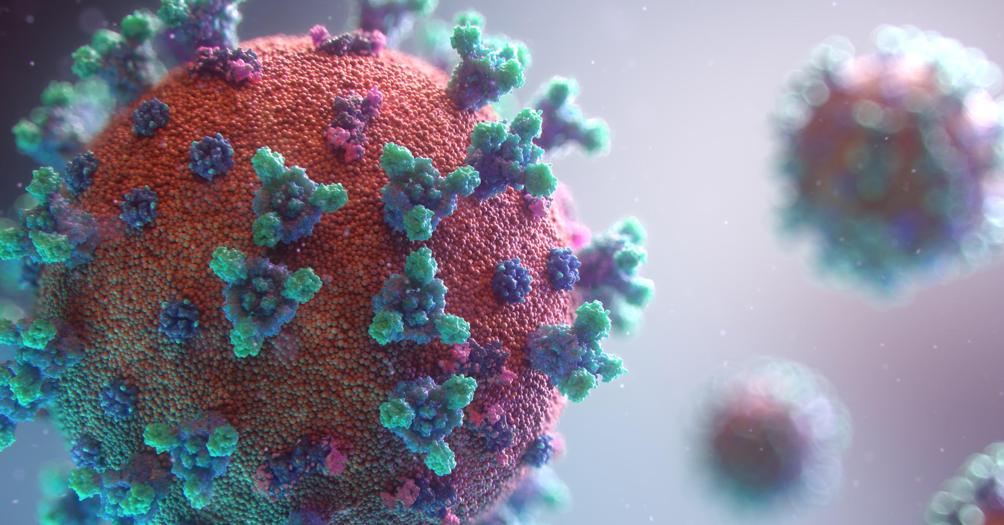 бактерия коронавируса. флаг с коронавирусом. вирус под контролем. вирус sars-cov-2 под микроскопом. вирус covid 19 под микроскопом.