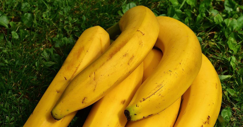 поставь банан. половина банана. дельфины из банана. фигуры из фруктов. бананы на гриле.