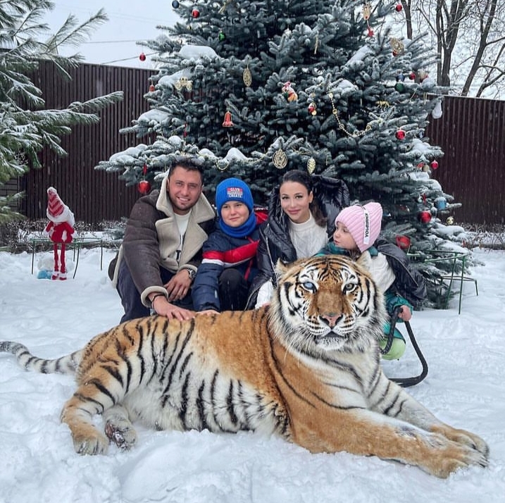 Прилучный простился с тигром, Орбакайте объявилась в Нью-Йорке, Плющенко подарил сыну автобус: фотофакты недели