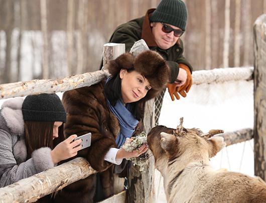 Российские актеры уехали в Сибирь кормить оленей