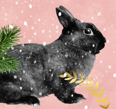 Вслед за Черным Кроликом