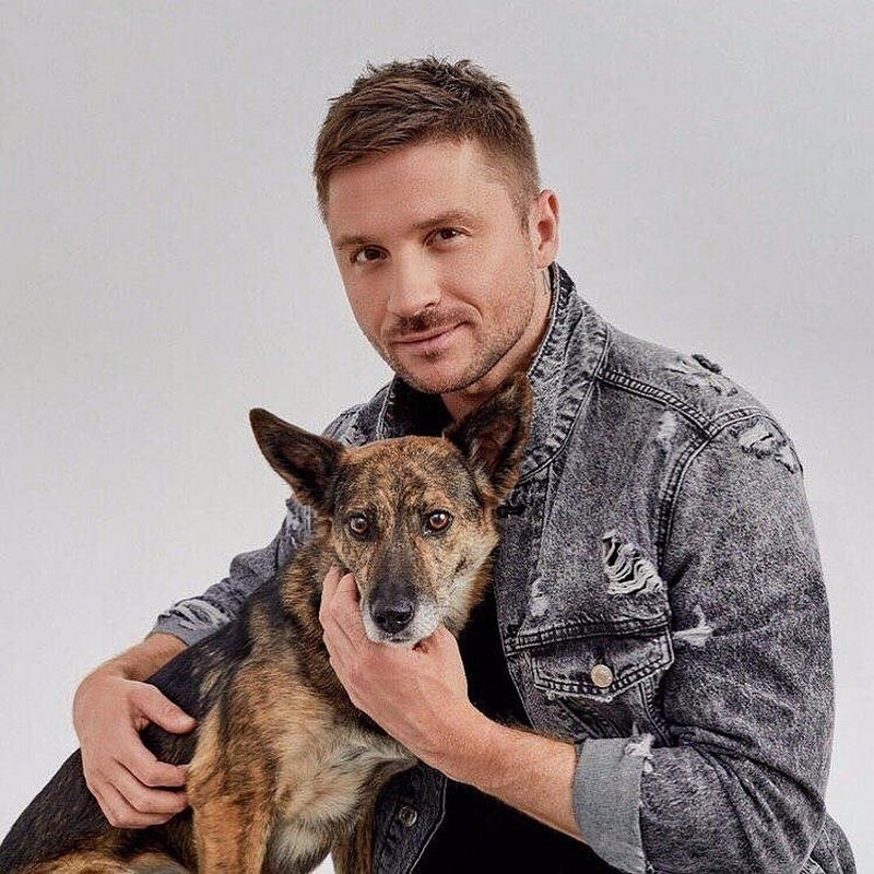 Сергей Лазарев  - десерты для собак и кошек